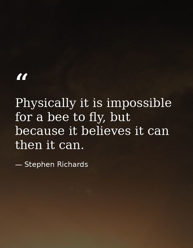 Physically it is impossible for a bee to fly, but because it believes it can then it can. — Stephen Richards