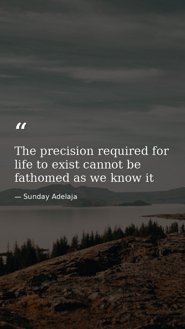 The precision required for life to exist cannot be fathomed as we know it — Sunday Adelaja