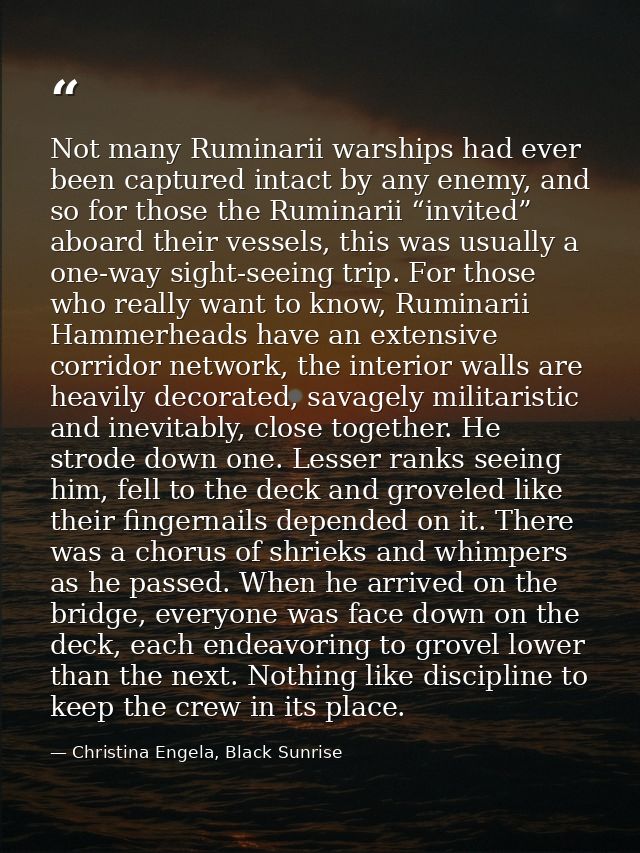 Not many Ruminarii warships had ever been captured intact by any enemy, and so for those the Ruminarii “invited” aboard  — Christina Engela, Black Sunrise