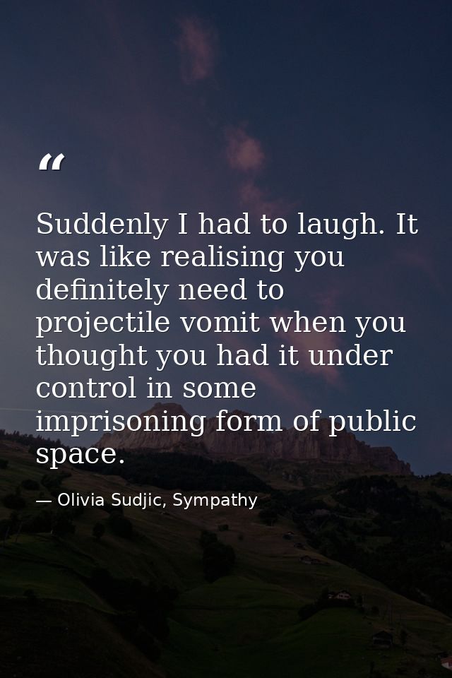 Suddenly I had to laugh. It was like realising you definitely need to projectile vomit when you thought you had it under — Olivia Sudjic, Sympathy