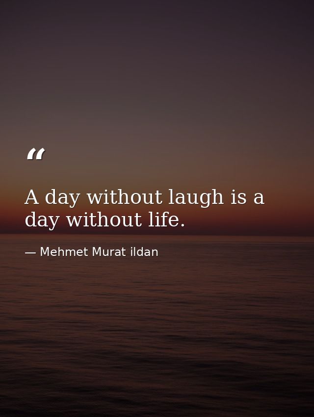 A day without laugh is a day without life. — Mehmet Murat ildan