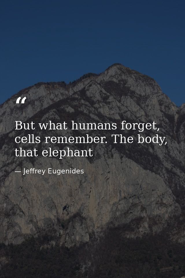 But what humans forget, cells remember. The body, that elephant — Jeffrey Eugenides