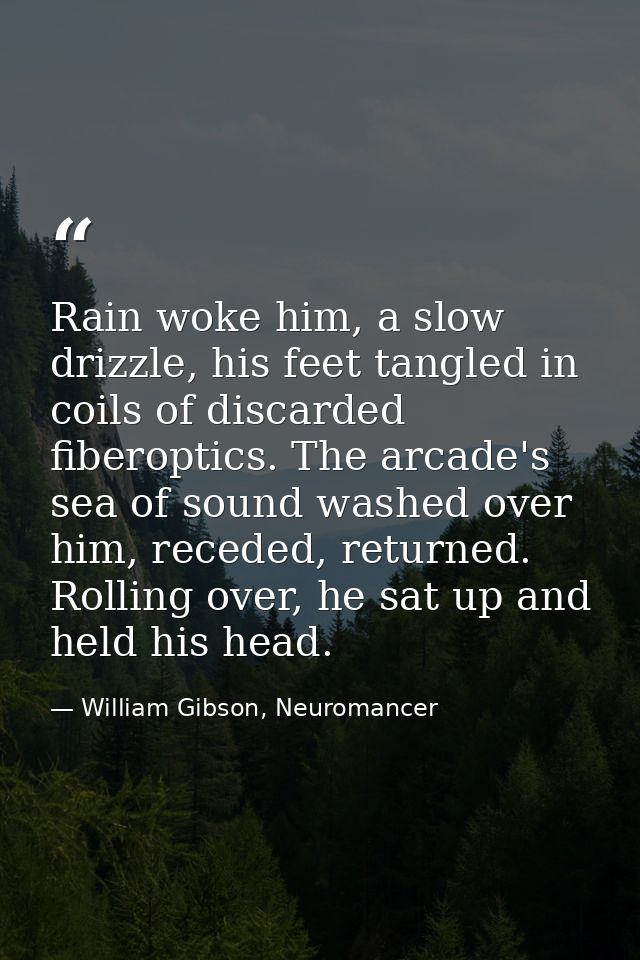 Rain woke him, a slow drizzle, his feet tangled in coils of discarded fiberoptics. The arcade's sea of sound washed over — William Gibson, Neuromancer