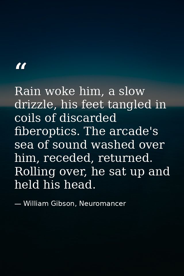 Rain woke him, a slow drizzle, his feet tangled in coils of discarded fiberoptics. The arcade's sea of sound washed over — William Gibson, Neuromancer