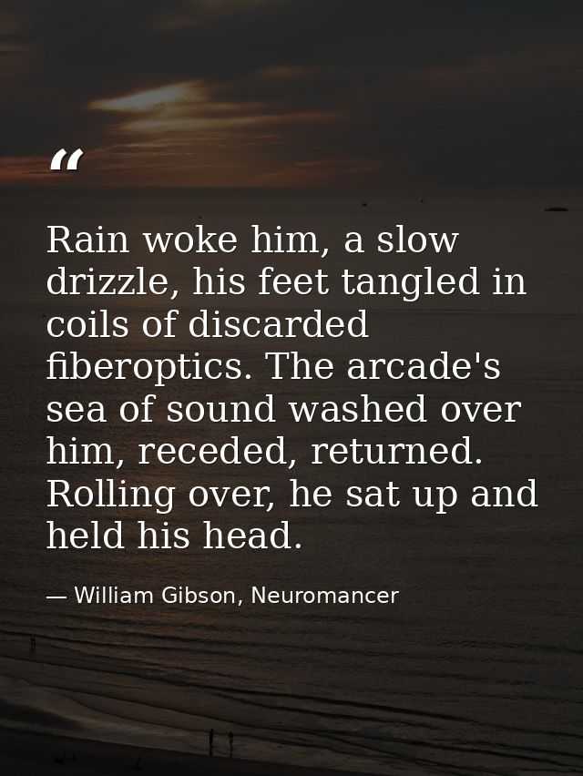 Rain woke him, a slow drizzle, his feet tangled in coils of discarded fiberoptics. The arcade's sea of sound washed over — William Gibson, Neuromancer