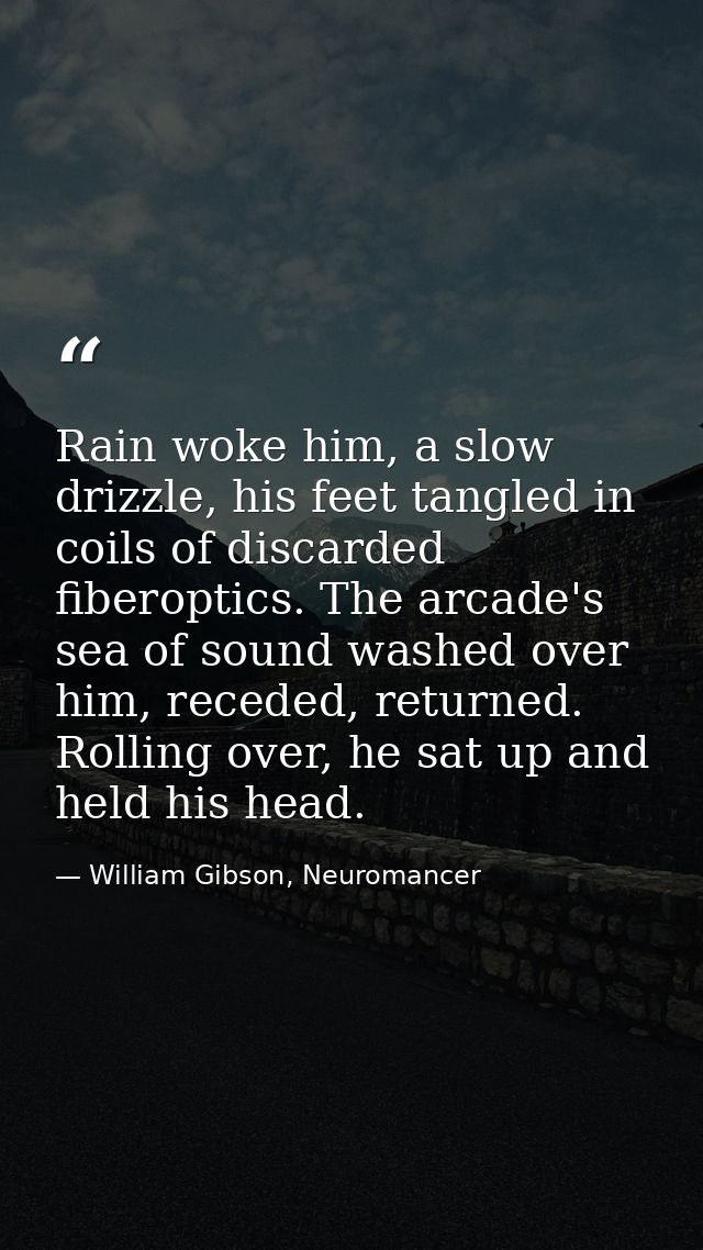 Rain woke him, a slow drizzle, his feet tangled in coils of discarded fiberoptics. The arcade's sea of sound washed over — William Gibson, Neuromancer