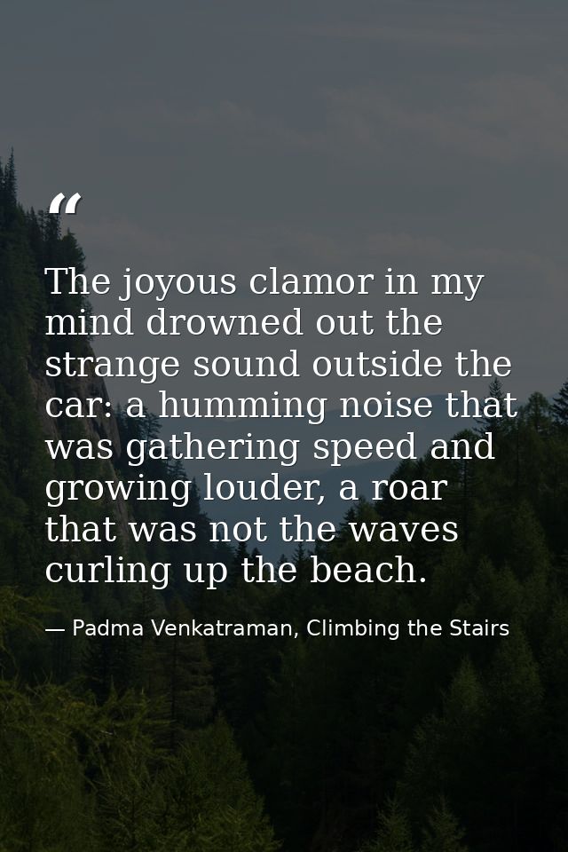 The joyous clamor in my mind drowned out the strange sound outside the car: a humming noise that was gathering speed and — Padma Venkatraman, Climbing the Stairs