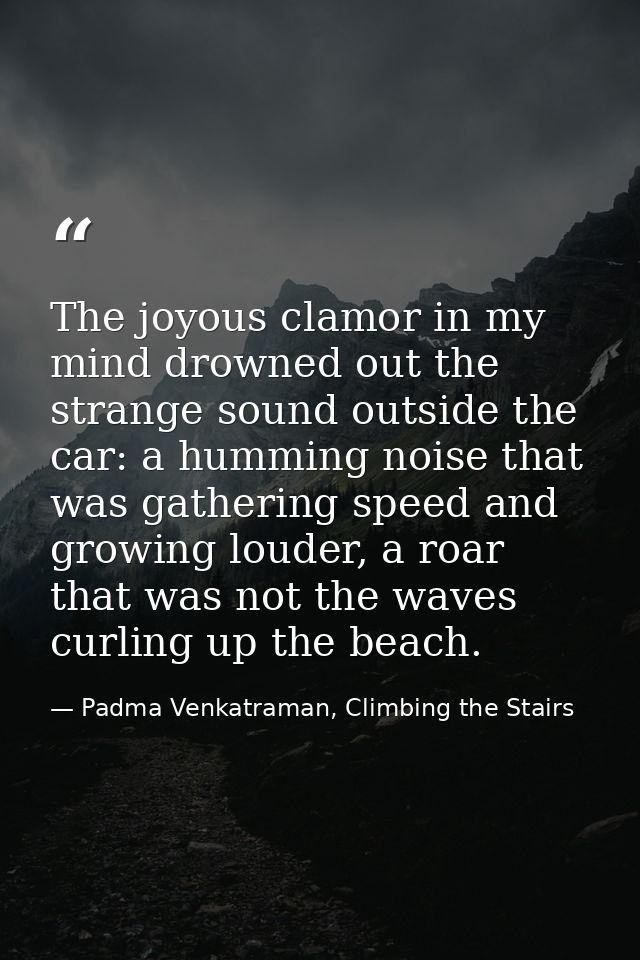 The joyous clamor in my mind drowned out the strange sound outside the car: a humming noise that was gathering speed and — Padma Venkatraman, Climbing the Stairs