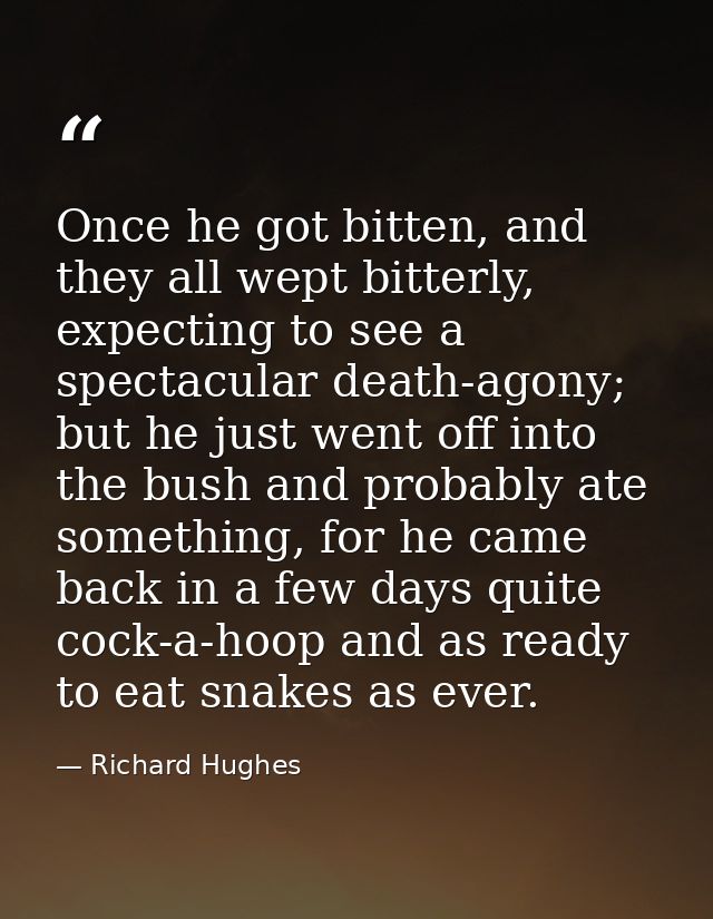 Once he got bitten, and they all wept bitterly, expecting to see a spectacular death-agony; but he just went off into th — Richard Hughes