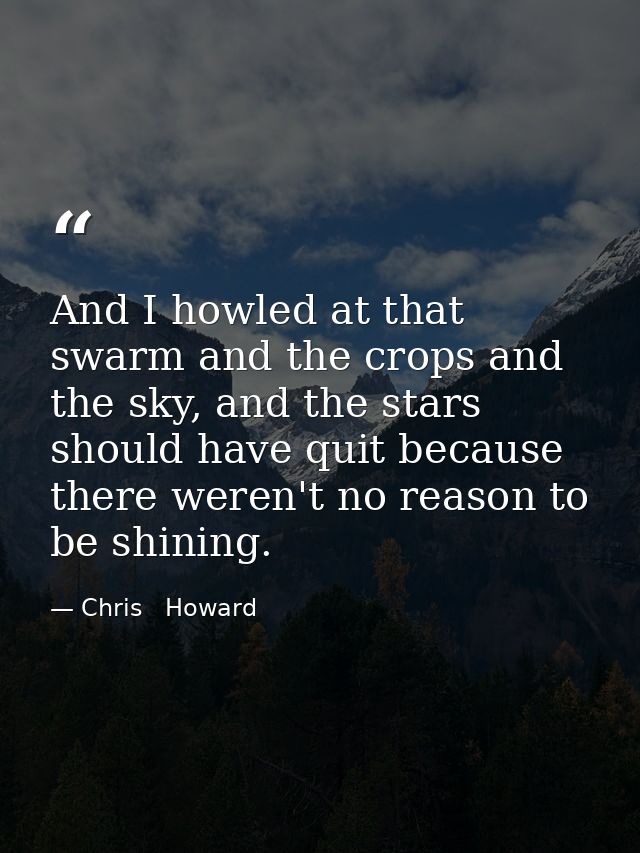 And I howled at that swarm and the crops and the sky, and the stars should have quit because there weren't no reason to  — Chris   Howard