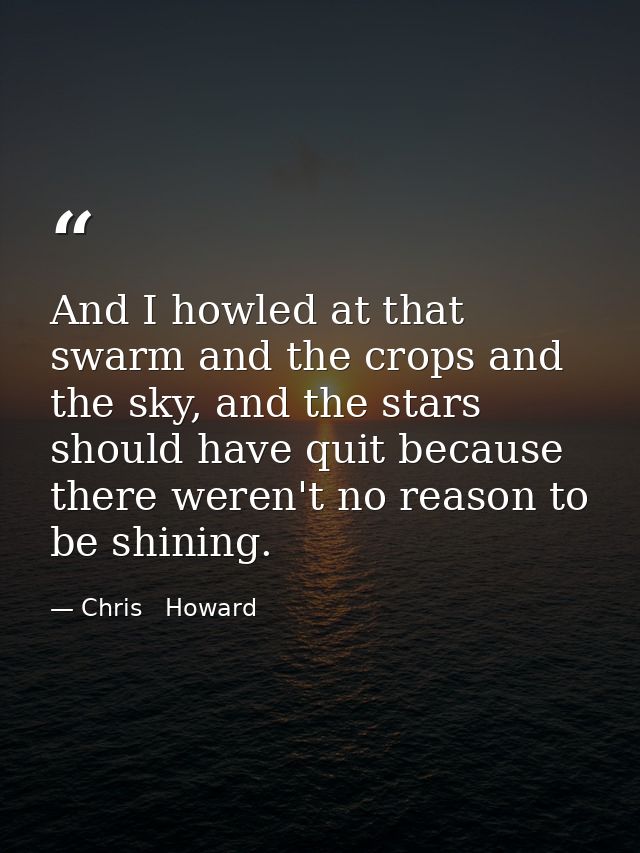 And I howled at that swarm and the crops and the sky, and the stars should have quit because there weren't no reason to  — Chris   Howard