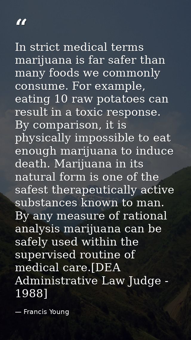 In strict medical terms marijuana is far safer than many foods we commonly consume. For example, eating 10 raw potatoes  — Francis Young