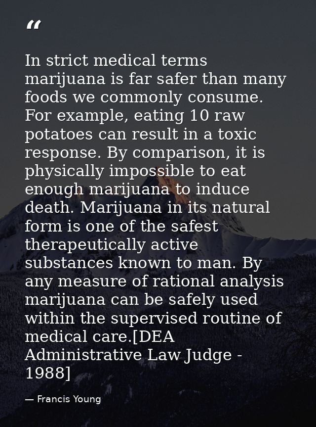 In strict medical terms marijuana is far safer than many foods we commonly consume. For example, eating 10 raw potatoes  — Francis Young