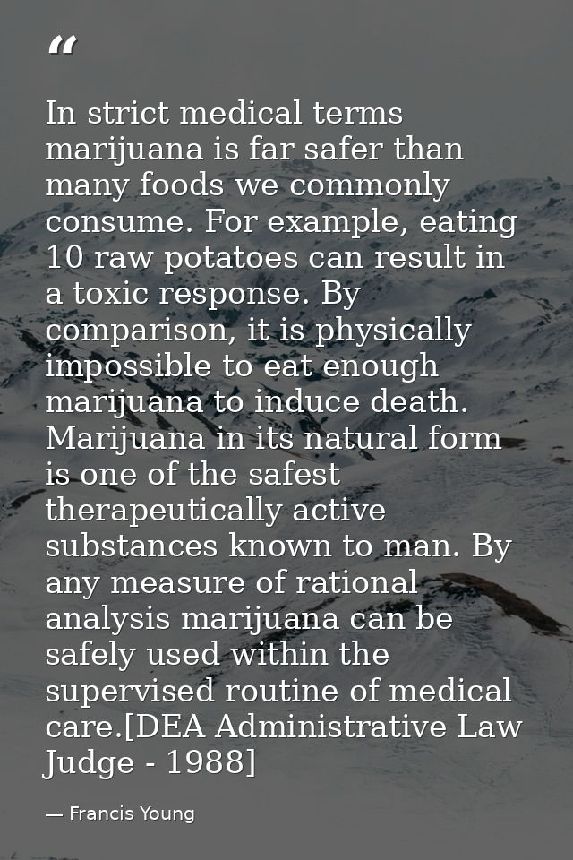 In strict medical terms marijuana is far safer than many foods we commonly consume. For example, eating 10 raw potatoes  — Francis Young