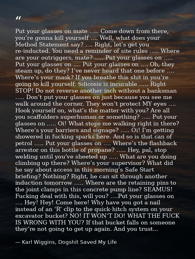 Put your glasses on mate ….. Come down from there, you’re gonna kill yourself …. Well, what does your Method Statement s — Karl Wiggins, Dogshit Saved My Life