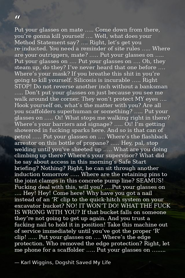 Put your glasses on mate ….. Come down from there, you’re gonna kill yourself …. Well, what does your Method Statement s — Karl Wiggins, Dogshit Saved My Life