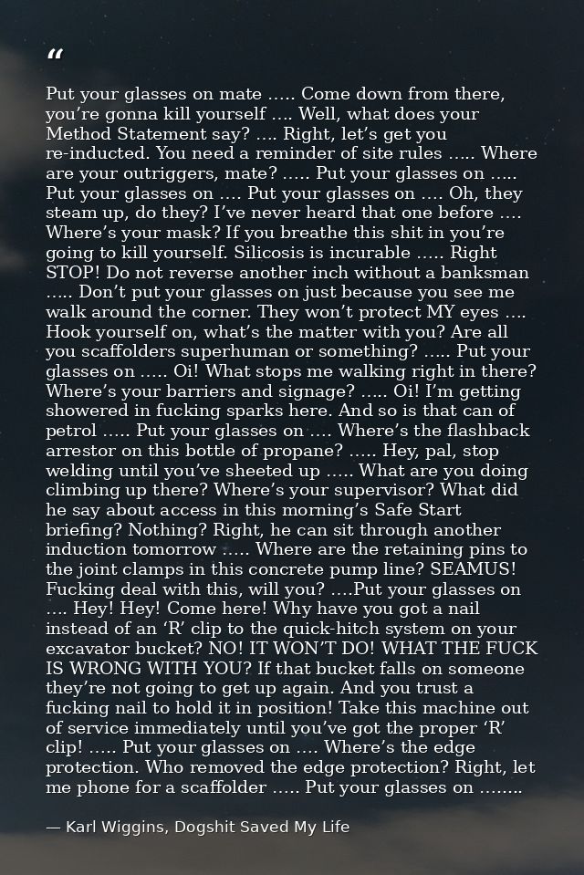 Put your glasses on mate ….. Come down from there, you’re gonna kill yourself …. Well, what does your Method Statement s — Karl Wiggins, Dogshit Saved My Life