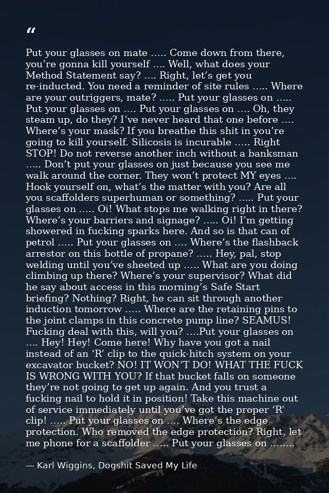 Put your glasses on mate ….. Come down from there, you’re gonna kill yourself …. Well, what does your Method Statement s — Karl Wiggins, Dogshit Saved My Life