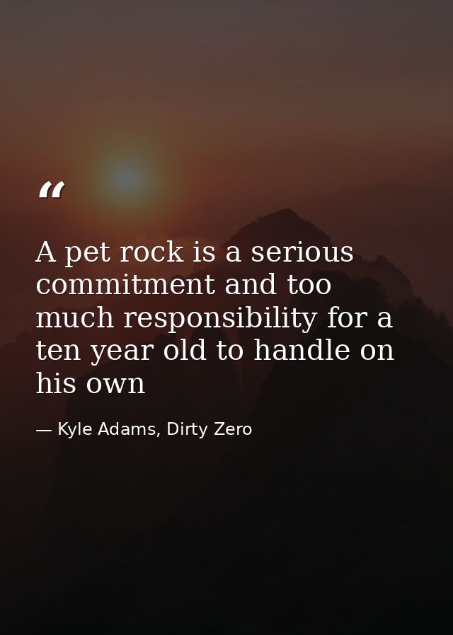 A pet rock is a serious commitment and too much responsibility for a ten year old to handle on his own — Kyle Adams, Dirty Zero