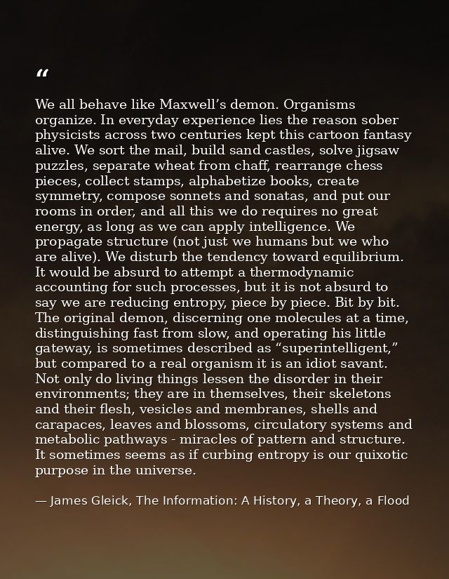 We all behave like Maxwell’s demon. Organisms organize. In everyday experience lies the reason sober physicists across t — James Gleick, The Information: A History, a Theory, a Flood