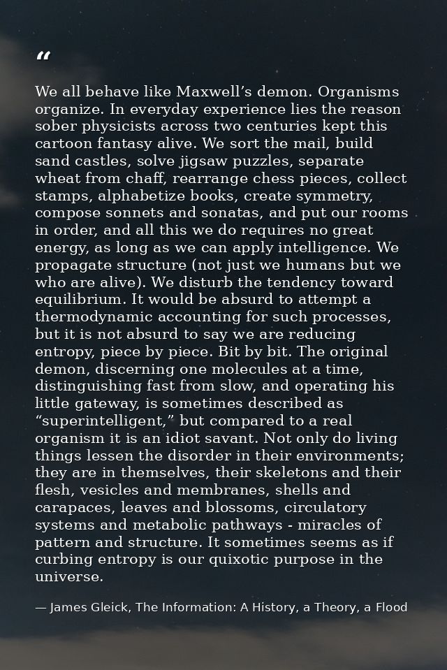 We all behave like Maxwell’s demon. Organisms organize. In everyday experience lies the reason sober physicists across t — James Gleick, The Information: A History, a Theory, a Flood