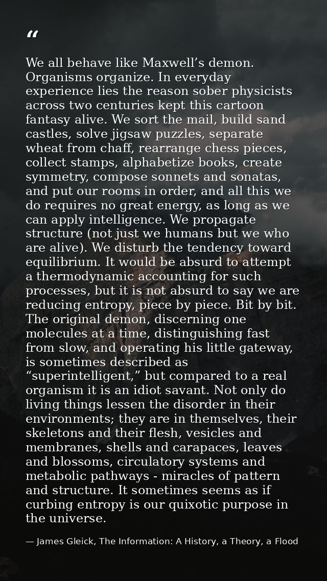 We all behave like Maxwell’s demon. Organisms organize. In everyday experience lies the reason sober physicists across t — James Gleick, The Information: A History, a Theory, a Flood