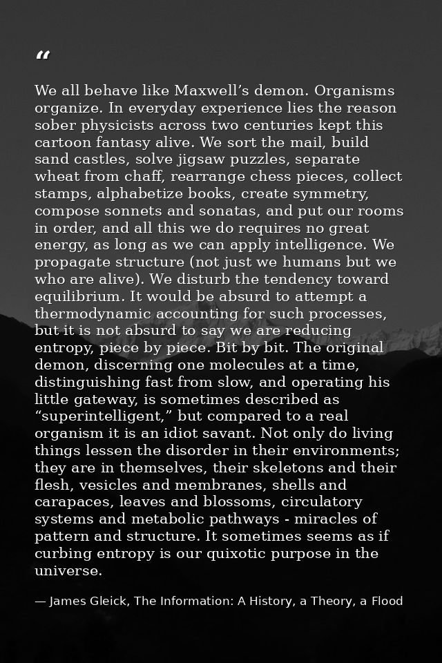 We all behave like Maxwell’s demon. Organisms organize. In everyday experience lies the reason sober physicists across t — James Gleick, The Information: A History, a Theory, a Flood