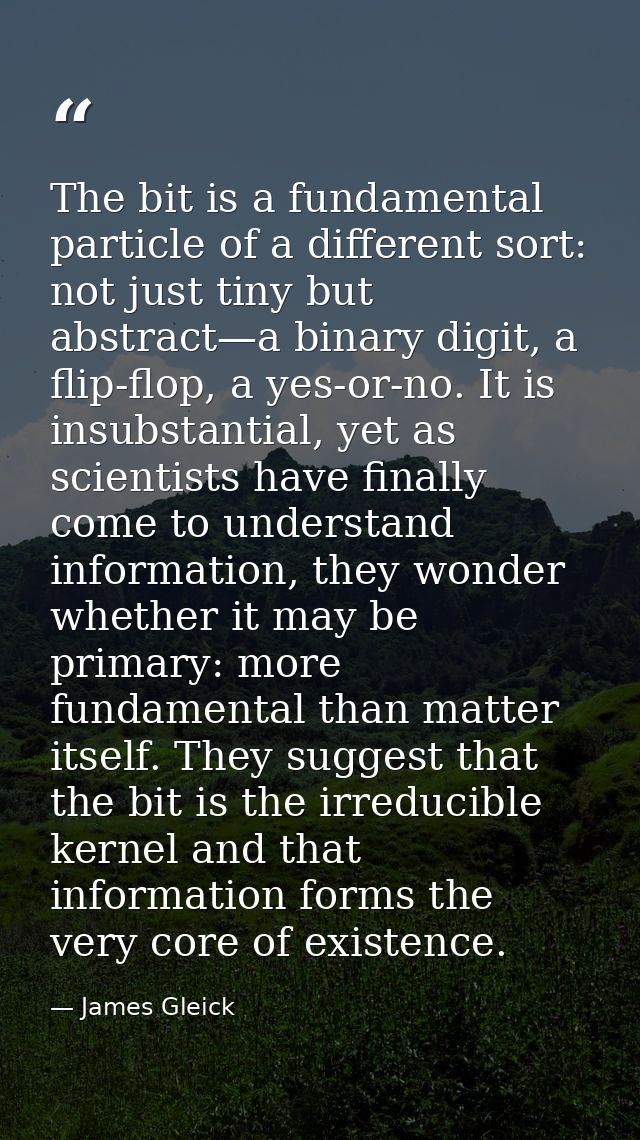The bit is a fundamental particle of a different sort: not just tiny but abstract—a binary digit, a flip-flop, a yes-or- — James Gleick