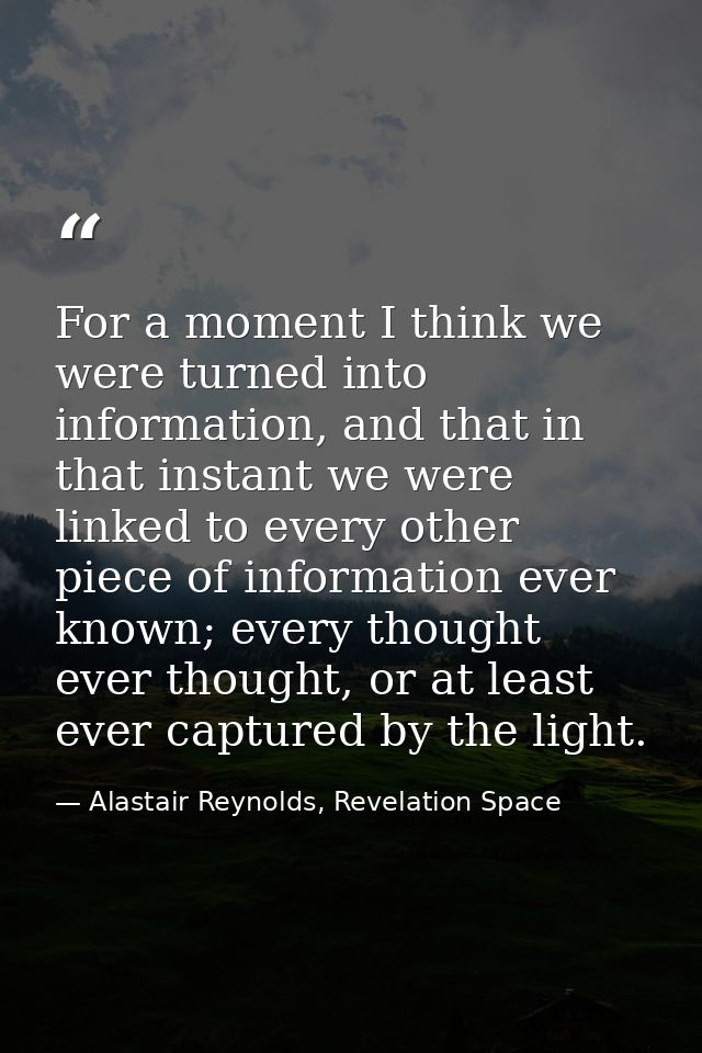 For a moment I think we were turned into information, and that in that instant we were linked to every other piece of in — Alastair Reynolds, Revelation Space
