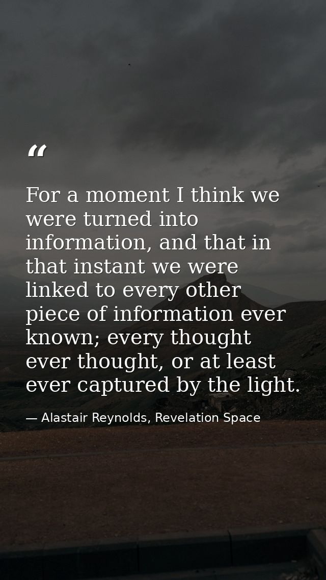 For a moment I think we were turned into information, and that in that instant we were linked to every other piece of in — Alastair Reynolds, Revelation Space