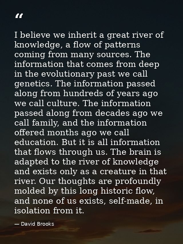 I believe we inherit a great river of knowledge, a flow of patterns coming from many sources. The information that comes — David Brooks