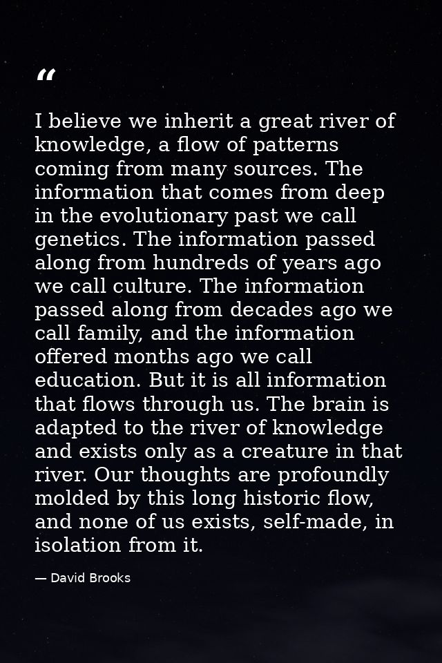 I believe we inherit a great river of knowledge, a flow of patterns coming from many sources. The information that comes — David Brooks