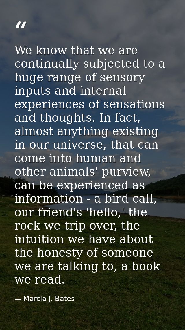 We know that we are continually subjected to a huge range of sensory inputs and internal experiences of sensations and t — Marcia J. Bates