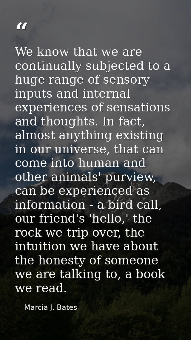 We know that we are continually subjected to a huge range of sensory inputs and internal experiences of sensations and t — Marcia J. Bates