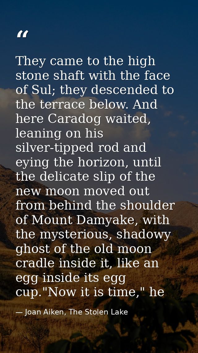 They came to the high stone shaft with the face of Sul; they descended to the terrace below. And here Caradog waited, le — Joan Aiken, The Stolen Lake