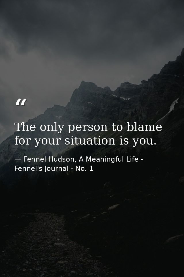 The only person to blame for your situation is you. — Fennel Hudson, A Meaningful Life - Fennel's Journal - No. 1