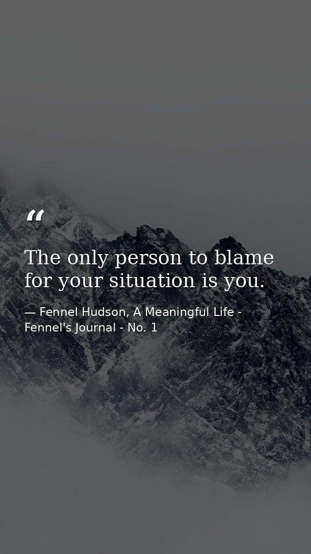 The only person to blame for your situation is you. — Fennel Hudson, A Meaningful Life - Fennel's Journal - No. 1