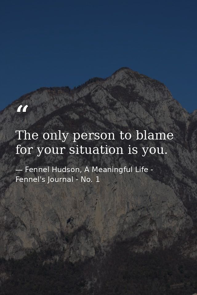 The only person to blame for your situation is you. — Fennel Hudson, A Meaningful Life - Fennel's Journal - No. 1