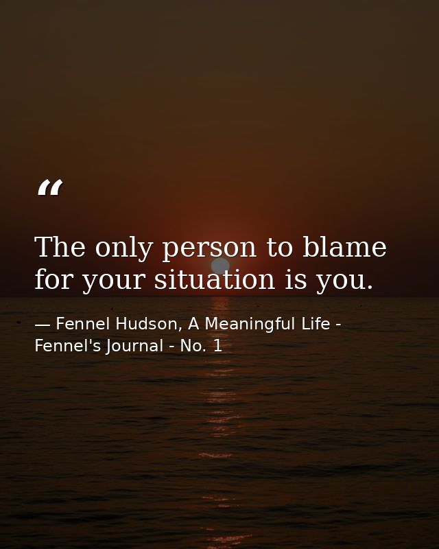 The only person to blame for your situation is you. — Fennel Hudson, A Meaningful Life - Fennel's Journal - No. 1