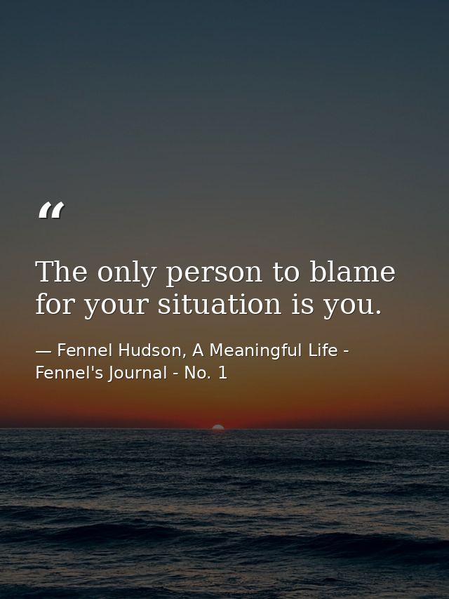 The only person to blame for your situation is you. — Fennel Hudson, A Meaningful Life - Fennel's Journal - No. 1