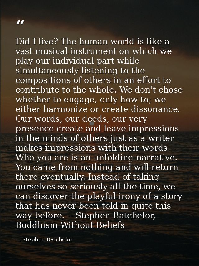 Did I live? The human world is like a vast musical instrument on which we play our individual part while simultaneously  — Stephen Batchelor