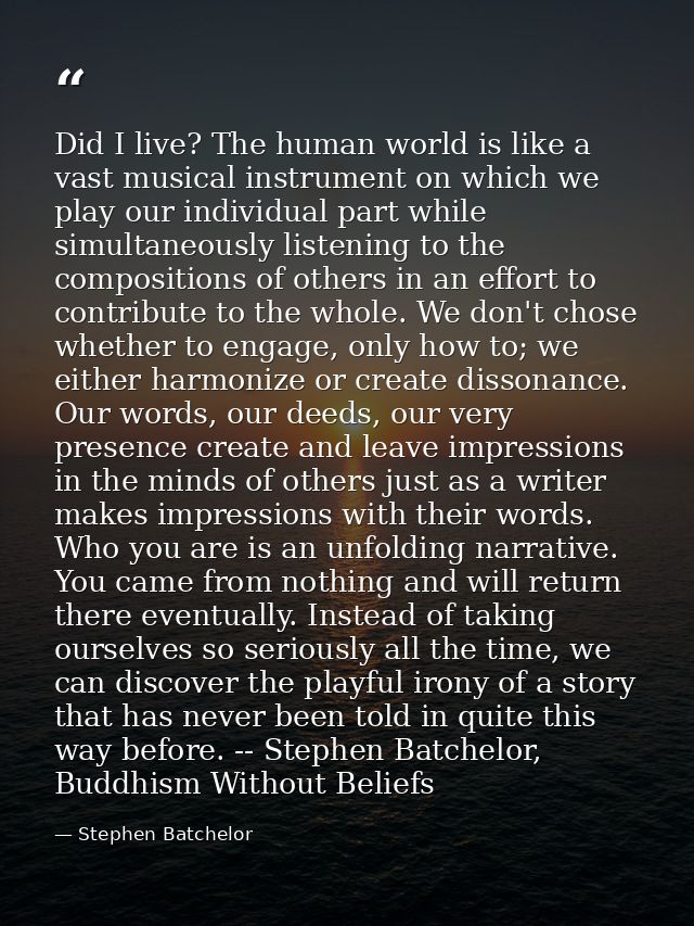 Did I live? The human world is like a vast musical instrument on which we play our individual part while simultaneously  — Stephen Batchelor
