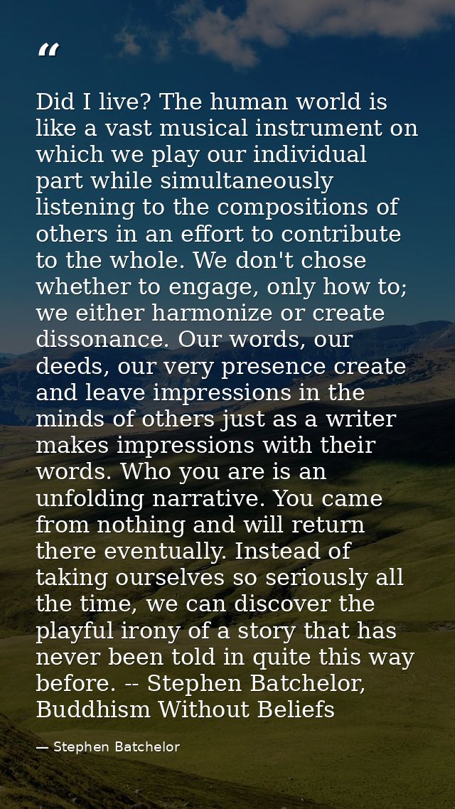 Did I live? The human world is like a vast musical instrument on which we play our individual part while simultaneously  — Stephen Batchelor