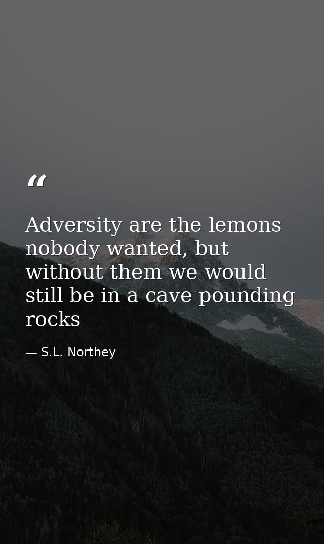 Adversity are the lemons nobody wanted, but without them we would still be in a cave pounding rocks — S.L. Northey