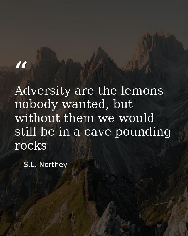 Adversity are the lemons nobody wanted, but without them we would still be in a cave pounding rocks — S.L. Northey