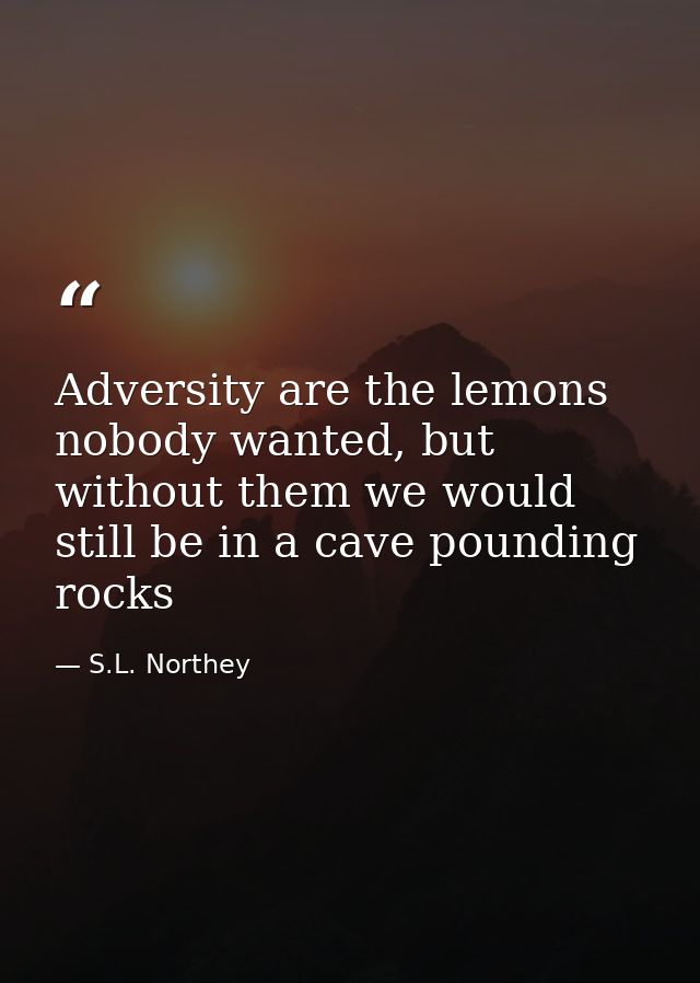 Adversity are the lemons nobody wanted, but without them we would still be in a cave pounding rocks — S.L. Northey