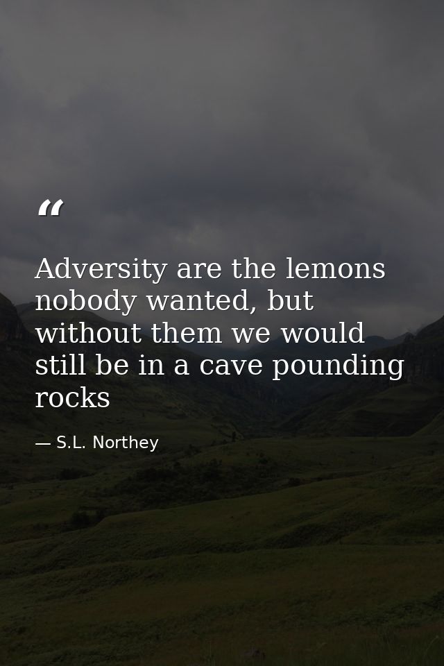 Adversity are the lemons nobody wanted, but without them we would still be in a cave pounding rocks — S.L. Northey