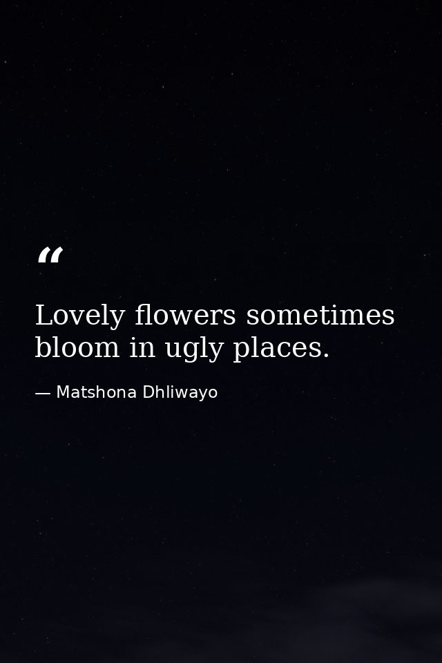 Lovely flowers sometimes bloom in ugly places. — Matshona Dhliwayo