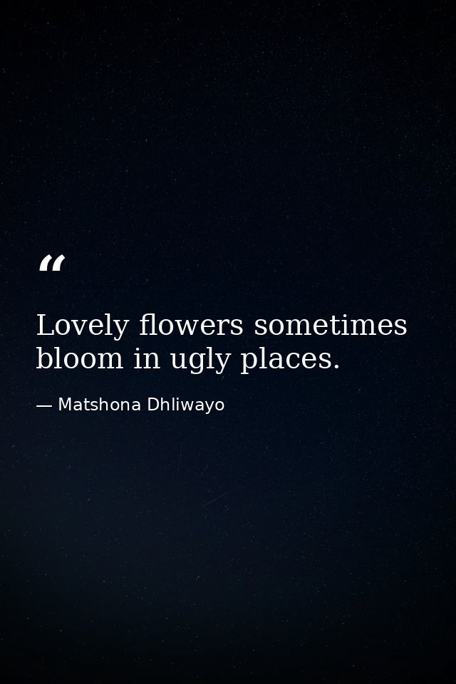 Lovely flowers sometimes bloom in ugly places. — Matshona Dhliwayo