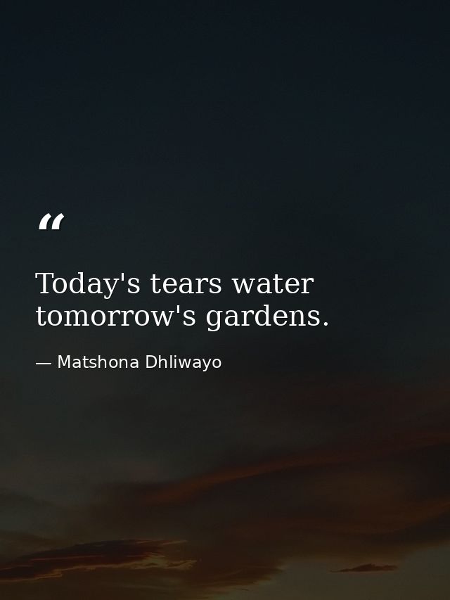 Today's tears water tomorrow's gardens. — Matshona Dhliwayo
